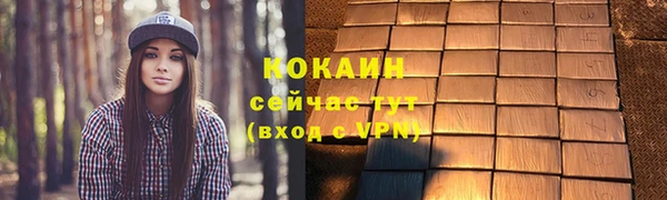 мдпв Магас