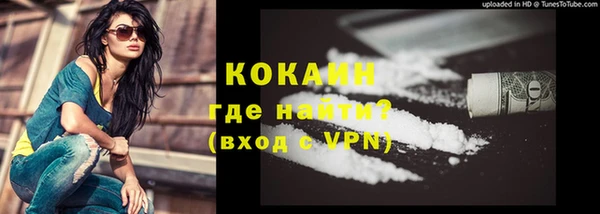 мдпв Магас