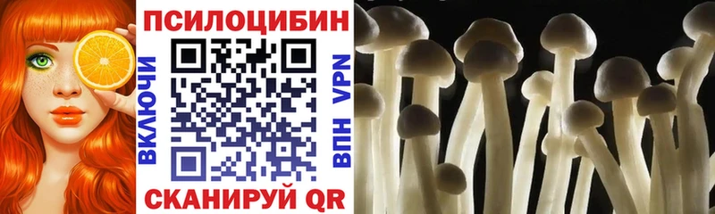 Псилоцибиновые грибы мухоморы  цена   Зеленокумск 