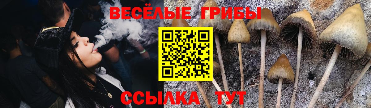Галлюциногенные грибы MAGIC MUSHROOMS  Зеленокумск 