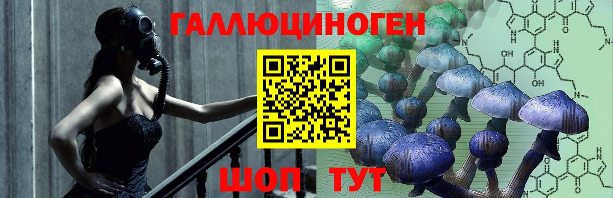 Зеленокумск  Галлюциногенные грибы Psilocybe  Псилоцибиновые грибы Psilocybe  Вход с VPN 
